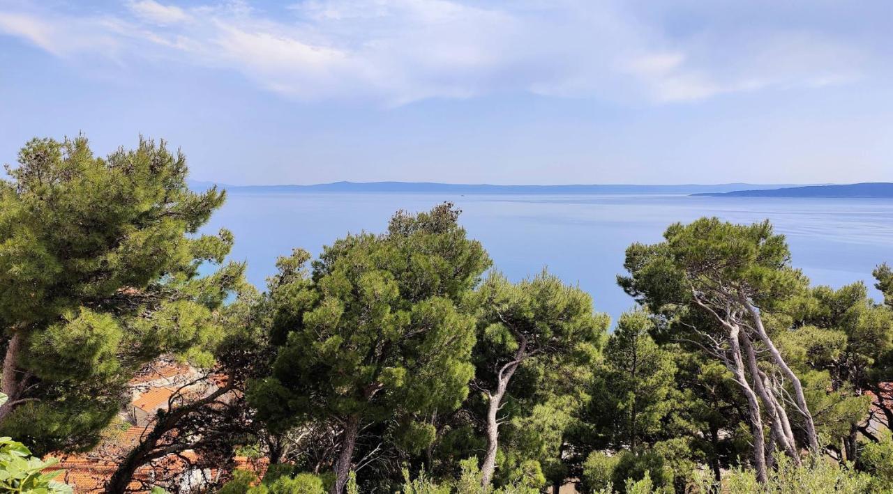 Gemuetliche Villa Mit Pool Brela Esterno foto